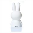 Mr. Maria Miffy First Light Hvid Cheap